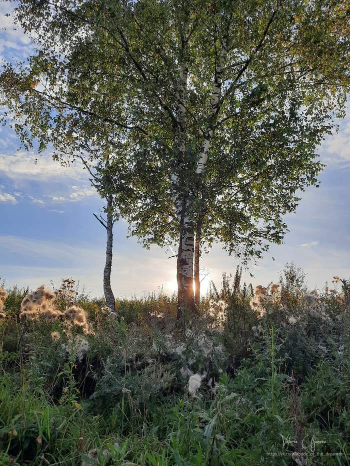 ����� ������� ����