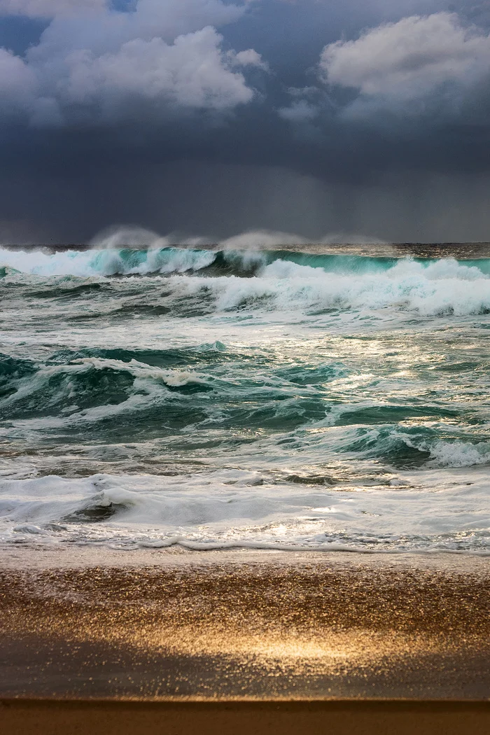 Storm on the coast in Sydney, Australia! - Sea, Storm, Beach, Coast, Wave, Foam, Sand, Gold, , Sydney, Australia, Phone wallpaper, The photo
