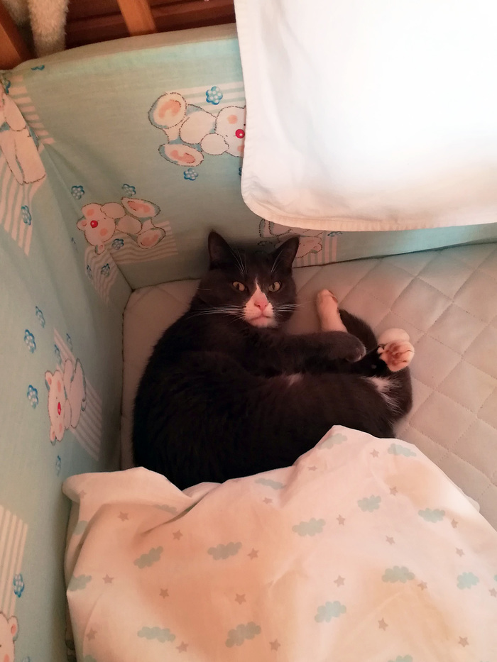 Где я? Где мой боевой топор, смерды?!