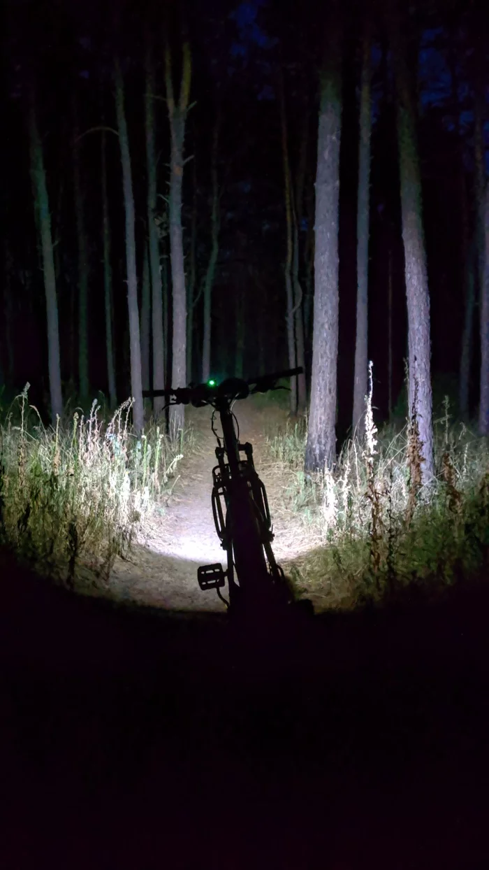 Night, bicycle, powerful bicycle headlight, forest) - My, A bike, Night, Lamp, Walk in the woods