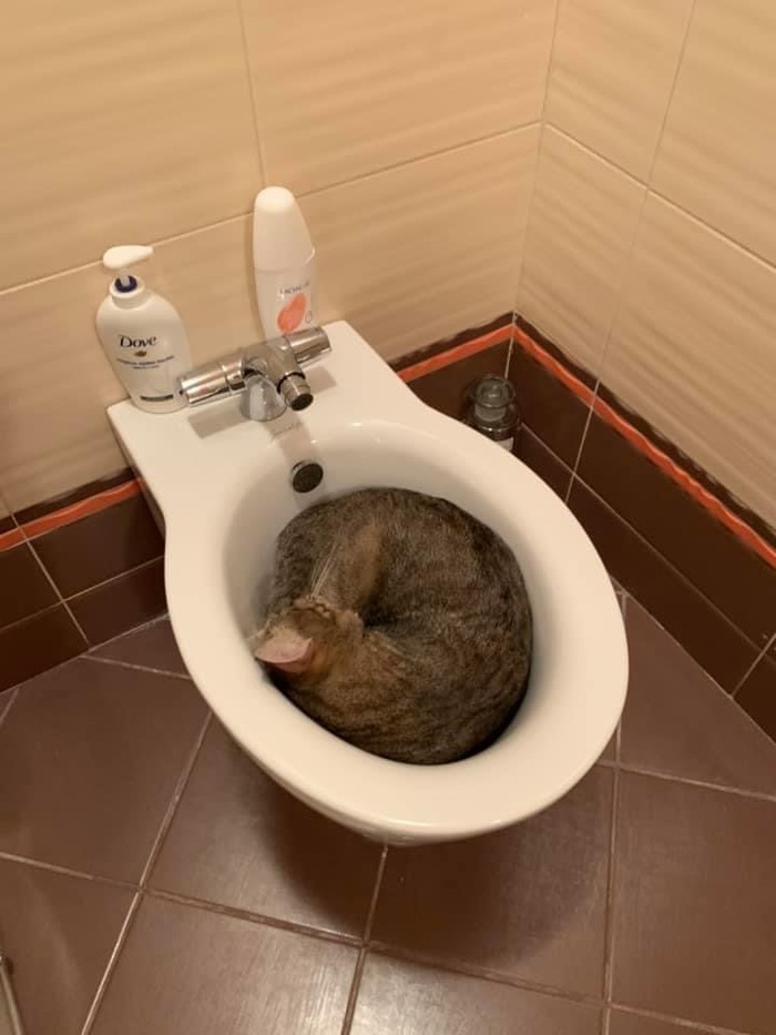    , 