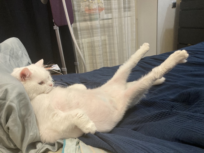 ���� ����