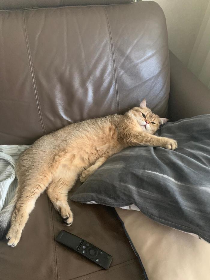 �� ������� ���� ����� ��������?