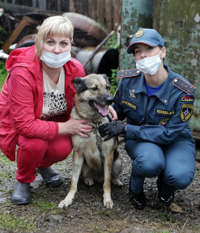 Rescuers from Nizhny Tagil helped an animal shelter - Shelter, Animal shelter, Ministry of Emergency Situations, Help, Charity, Longpost