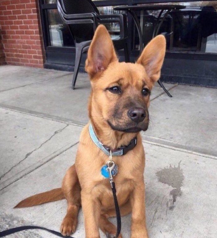 Скубидушечка