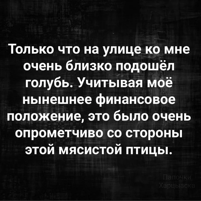 Голод - Юмор, Картинка с текстом, Голубь, Финансы, Опрометчивость, Птицы