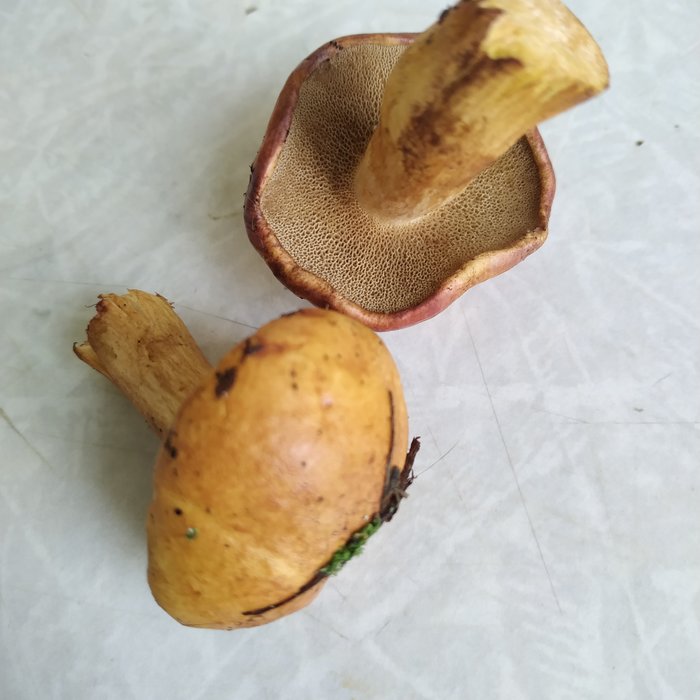 Как называется?