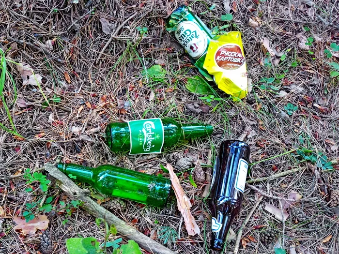 Like going to the cinema for a bottle - My, Movies, Fantomas, Kislovodsk, Kislovodsk Park, Forest, Bottle, Glass containers, Wealth, Video