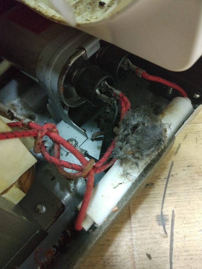 ������ � �������������)