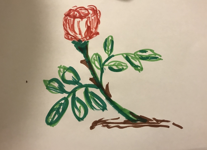 Пол-литра абрикосовки толкают к творческим порывам