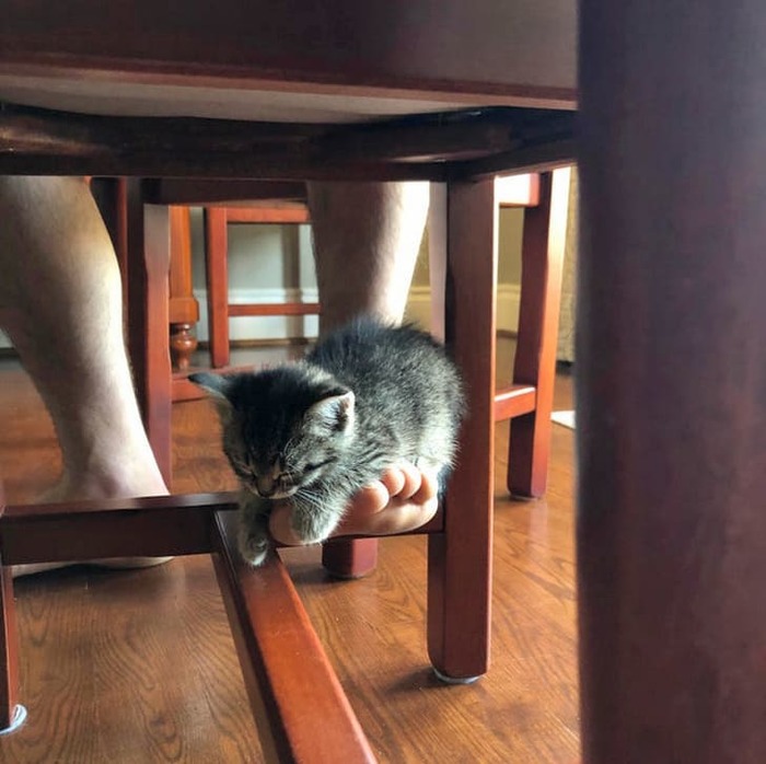 Маленькая грелка