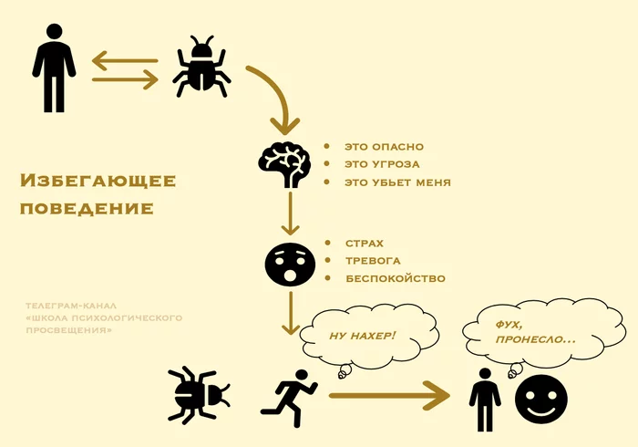 Что общего у всех тревожных расстройств? - Моё, Психология, Психотерапия, Психиатрия, Тревога, Страх, Избегание