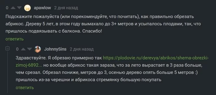 Знаменитости тоже люди - Скриншот, Абрикос, Джонни Синс, Комментарии на Пикабу