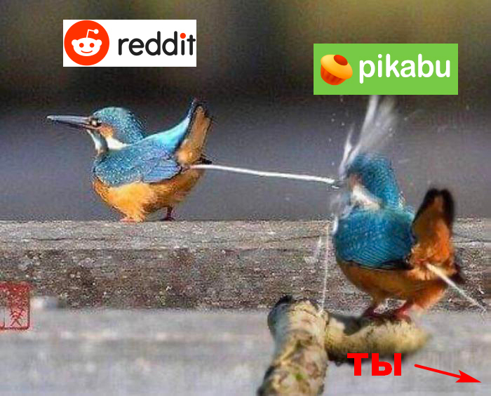 ������� � �������� ��������