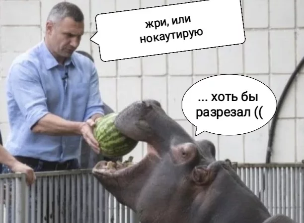 Klitschko and the hippopotamus - Vitaliy Klichko, hippopotamus, Watermelon