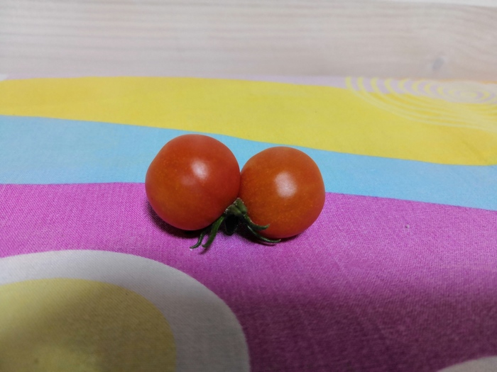   ,  ,  , 