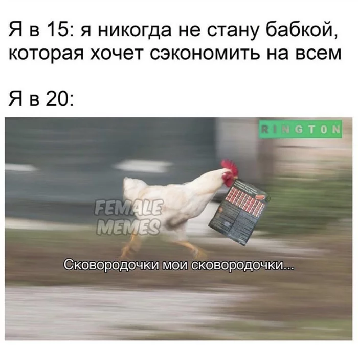 Там ещё кастрюльки неплохие - Экономия, Курица, Старость, Female Memes, Картинка с текстом