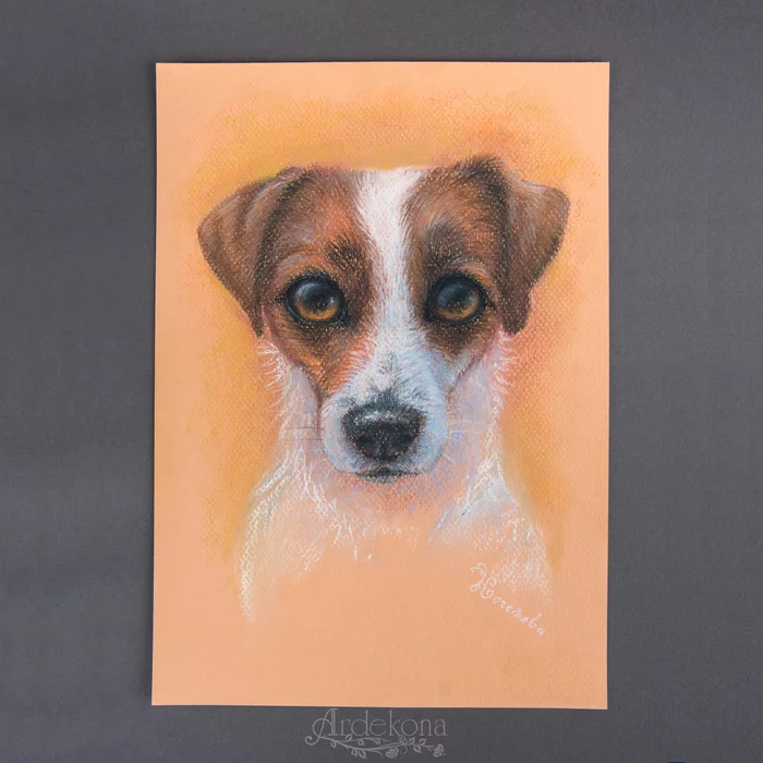 Gratitude - My, Longpost, Drawing, Pastel, cat, Dog