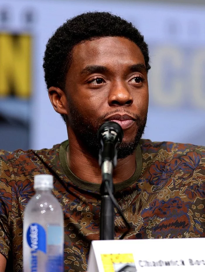 Black Panther actor Chadwick Boseman dies - Avengers, Marvel, Chadwick Boseman, Death, Actors and actresses, Celebrities, Negative