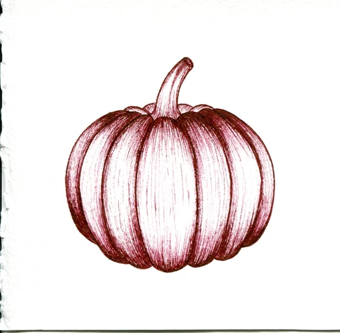 Pumpkin, coffee and tulips - My, Pen drawing, Drawing, Plants, Botany, Graphics, Painting, Longpost