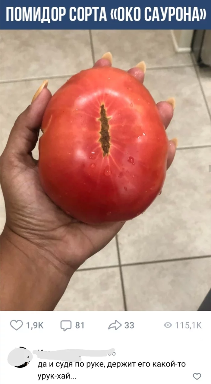 Sauron's Tomato - Sauron, Uruk-Hai, Lord of the Rings, Pareidolia, Tomatoes, Comments, Screenshot, Picture with text