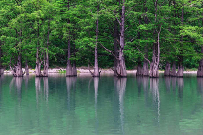 Cypress Lake expectation/reality - My, The photo, Cypress, Sukko, Lake, Dzhemete, Supseh, Video, Longpost