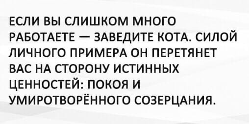 Трудоголикам на заметку - Кот, Картинка с текстом, Работа