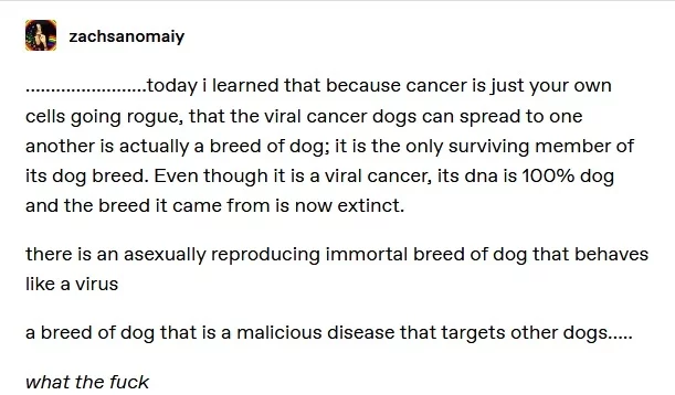 Immortal dog breed - Dog, Cancer and oncology, Interesting, Immortality, Translation, Longpost