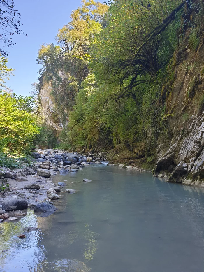 Criminal Abkhazia - how not to get into adventures. Advice from a local tramp - My, Abkhazia, Crime, Longpost, Video, Negative