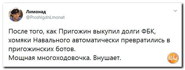 Мои 5 копеек об отравлении Лёхи Навального - Моё, Политика, Алексей Навальный, Пригожин, Отравление, ФБК