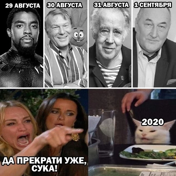 2020 хватит - 2020, Смерть, Две женщины орут на кота, Чедвик Боузман, Борис Клюев, Некролог, Негатив, Владислав Крапивин