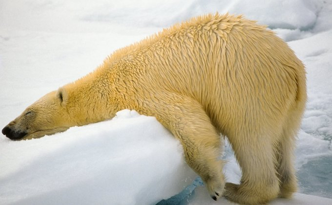 Наслаждение