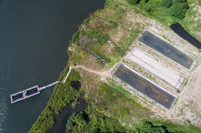 Water depletion and oxygen for trout: how one farm plans to supply the whole of Tatarstan with fish - My, Tatarstan, Entrepreneurship, Business, A fish, Longpost