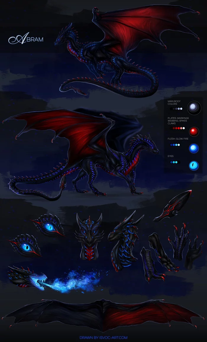 dragon reference - Art, The Dragon, Reference, Fantasy, Leilryu