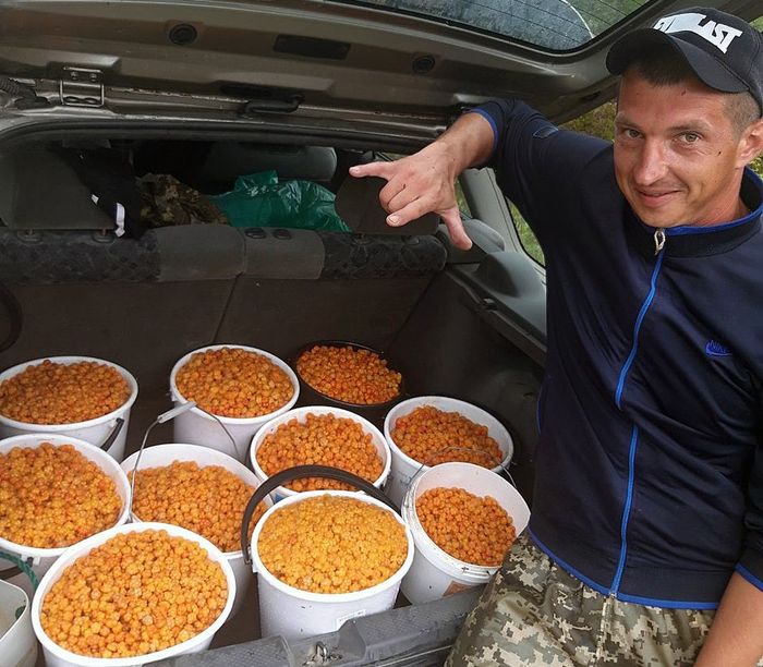 �������� �������� �� 130 �� ������� � ���� � �� ��� ������ ������������ 8 500 ����