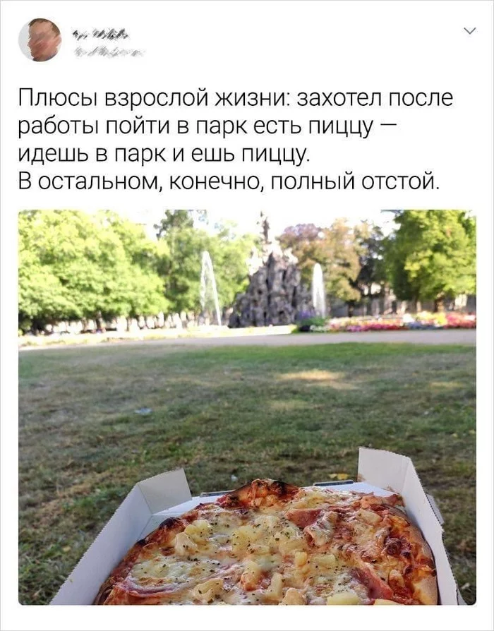 Well, at least some joy - Adulthood, Pizza, Screenshot, Picture with text, The park, Wish, ADME