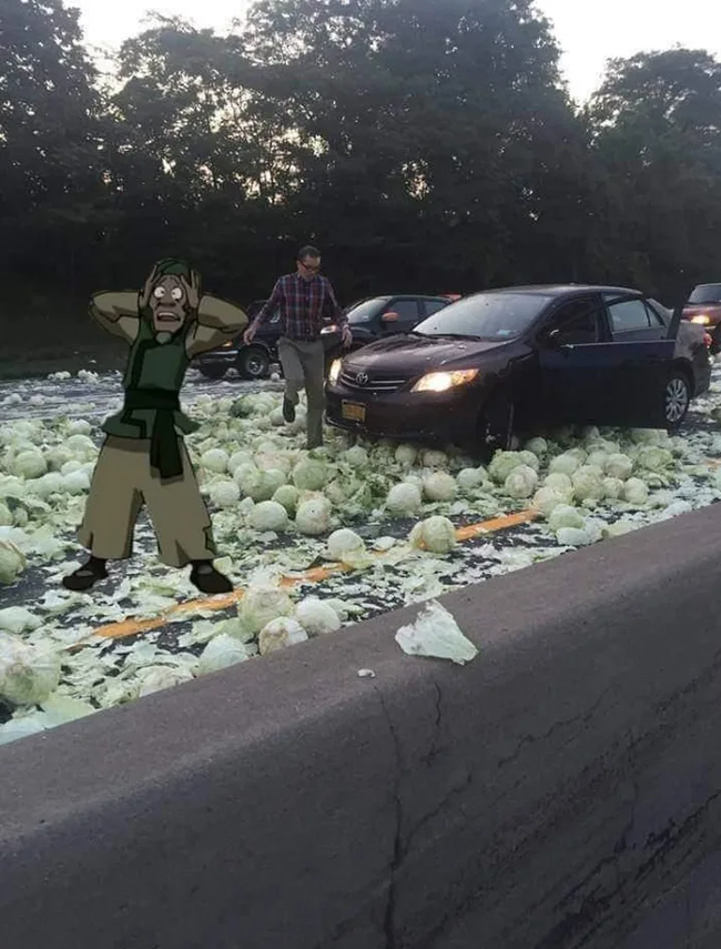 -My cabbage! - Cabbage, Road