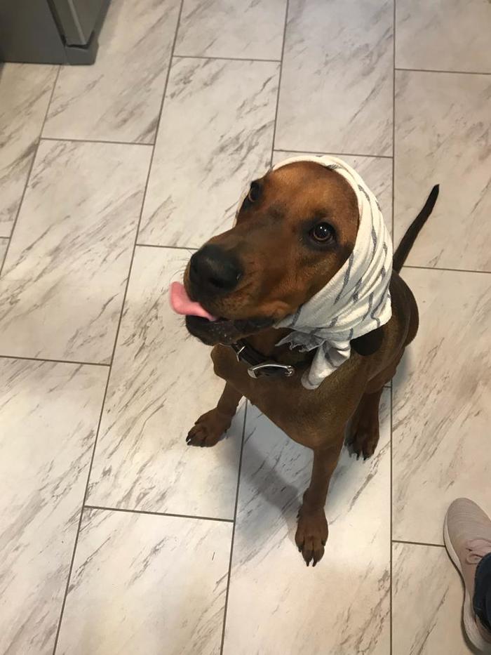 ГОЛОВА БОЛИТ, ДАЙ ТАБЛЕТКУ ГАД!