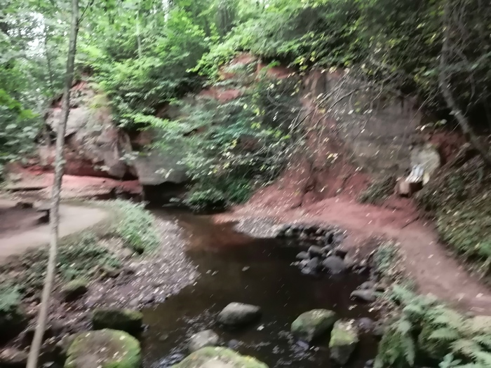 Продолжение поста «Ответ KOT268 в "Заколоченная Россия. Побывал на Псковщине. " Обратная сторона медали» Псковская область, 2020, Провинция, Заброшенное, Псков, Длиннопост