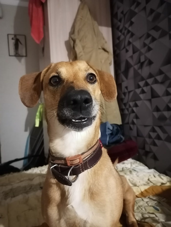   - "" , , , 