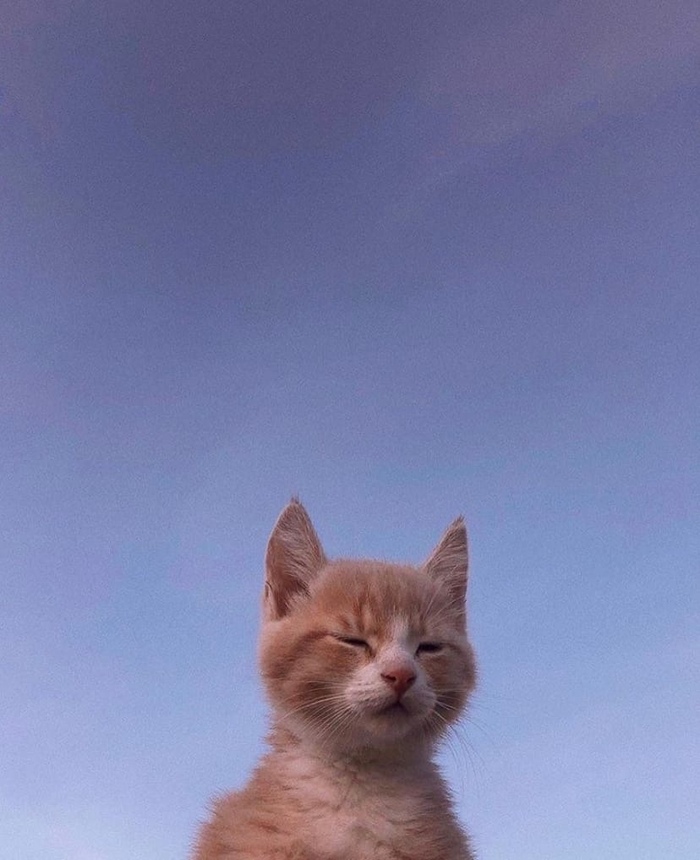        , , , , 
