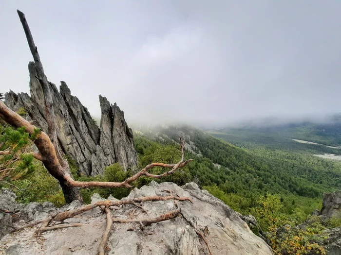 How we climbed the mountain - My, Taganay, The mountains, Route, beauty, Forest, Sky, Video, Longpost