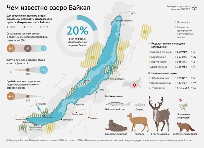 Infographics: nature reserves, hiking trails and rare animals of Lake Baikal - My, Nature, Ecology, Baikal, Reserves and sanctuaries, Longpost