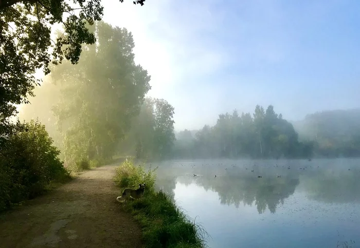 Dawn in the Botanical Garden, Tomsk - My, The photo, dawn, Fog, Tomsk