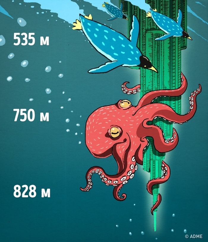 Про глубину, и то, что в ней находится | Пикабу