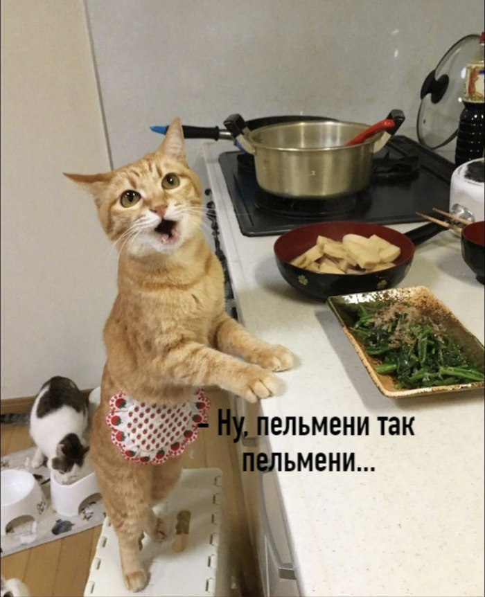 а зачем спрашивать тогда. Смотреть фото а зачем спрашивать тогда. Смотреть картинку а зачем спрашивать тогда. Картинка про а зачем спрашивать тогда. Фото а зачем спрашивать тогда
