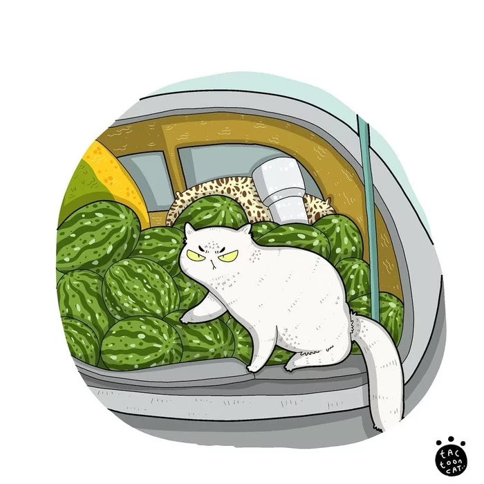 Знаменитый кот на новый лад - Кот, Арбуз, Рисунок, Tactooncat