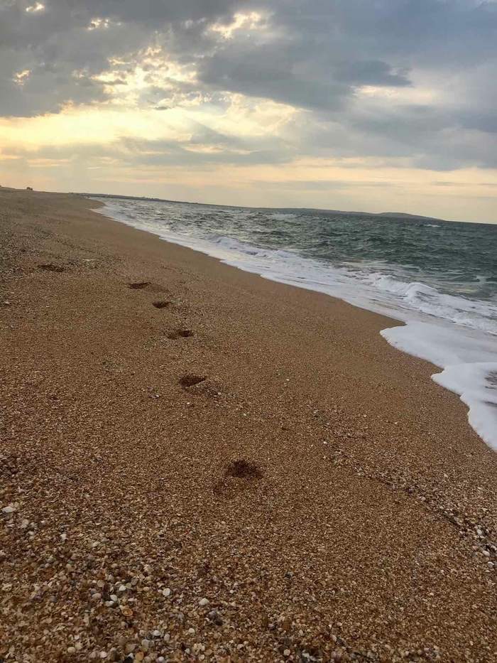 Solitude and peace: unfamiliar corners of Crimea - My, Crimea, Azov sea, Kerch Peninsula, Tourism, Travels, Longpost, Relaxation