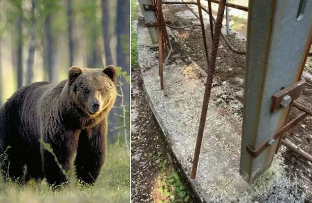 Склонен к побегу...