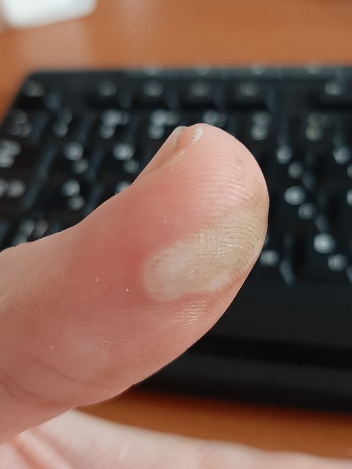 ����� ������ ����